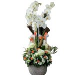 Dekoratif Saksıda Orkide ve GüllerARJ0042 - Görsel 2