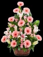 Sepette Lilyum ve Gerberalar ARJ0048 - Görsel 2