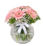 Fanusta Pembe Gerbera ARJ0059 - Görsel 2
