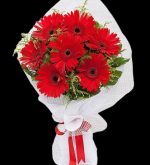 Kırmızı Gerbera Buketi 7 Dal BKT0112 - Görsel 2
