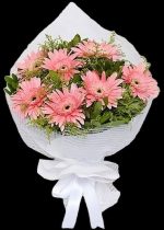 Pembe Gerberalar 7 Dal BKT0127 - Görsel 2