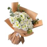 Beyaz Papatyalar BKT0226