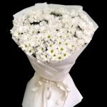 Beyaz Papatyalar. 25 Dal. BKT0230