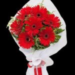 Kırmızı Gerbera Buketi 7 Dal BKT0112