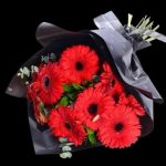 Kırmızı Gerbera Buketi 8 Dal BKT0113