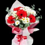 Kırmızı Gerbera ve Papatyalar BKT0118