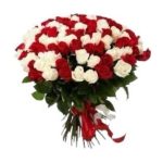 Kırmızı ve Beyaz Güller 101 Dal BKT0156