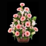 Sepette Lilyum ve Gerberalar ARJ0048