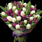 Mor ve Beyaz Laleler. 45 Dal. BKT0105
