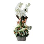 Dekoratif Saksıda Orkide ve GüllerARJ0042