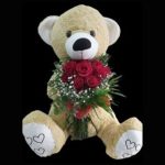 Peluş Ayıcık ve Kırmızı Gül Buketi BKT0013