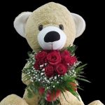 Peluş Ayıcık ve Kırmızı Güller 10 Dal BKT0145