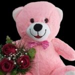 Peluş Ayıcık ve Kırmızı Güller BKT0151
