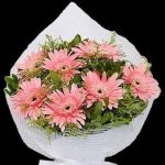 Pembe Gerberalar 7 Dal BKT0127