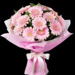 Pembe Gerberalar 17 Dal BKT0129