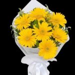 Sarı Gerberalar 7 Dal BKT0130