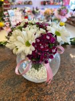 Cam Fanusta  Hüsnü Yusuf Papatya Aranjmanı - Görsel 3