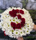 Baş Harfli Kırmızı Gül ve Beyaz Papatya Kadife Kutu Aranjman 🌼