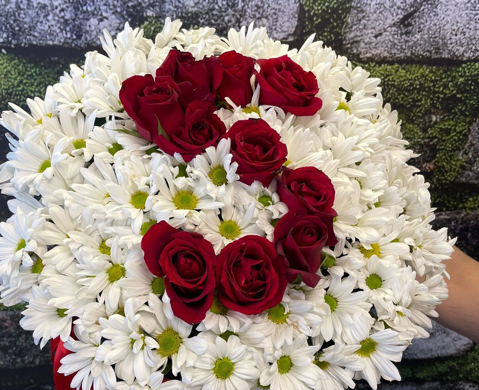 Baş Harfli Kırmızı Gül ve Beyaz Papatya Kadife Kutu Aranjman 🌼