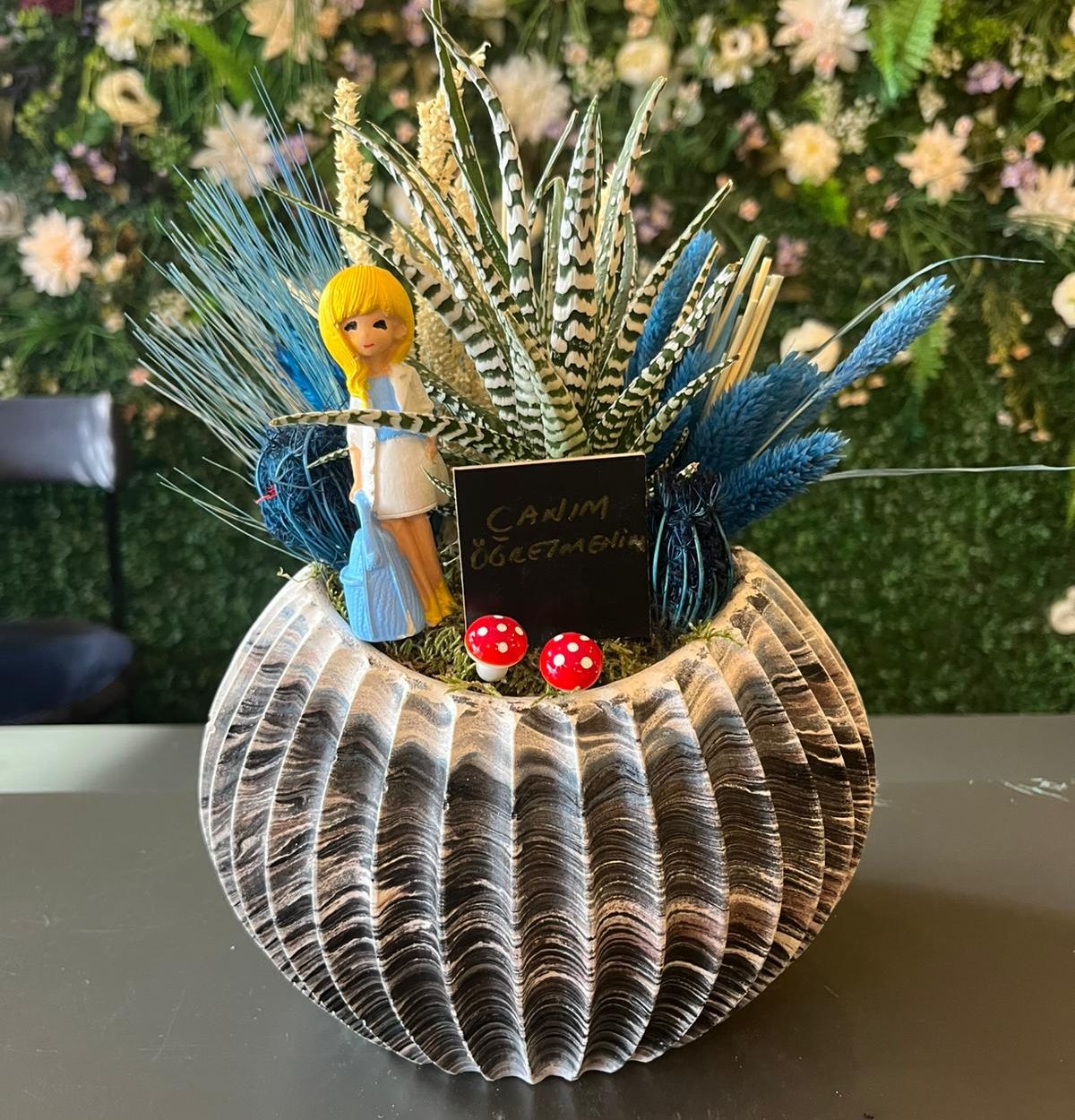 Öğretmenler Günü İstiridye Orta Boy Teraryum