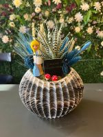 Öğretmenler Günü İstiridye Orta Boy Teraryum