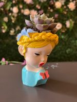 Helen Saksıda Mini Skulent - Görsel 2