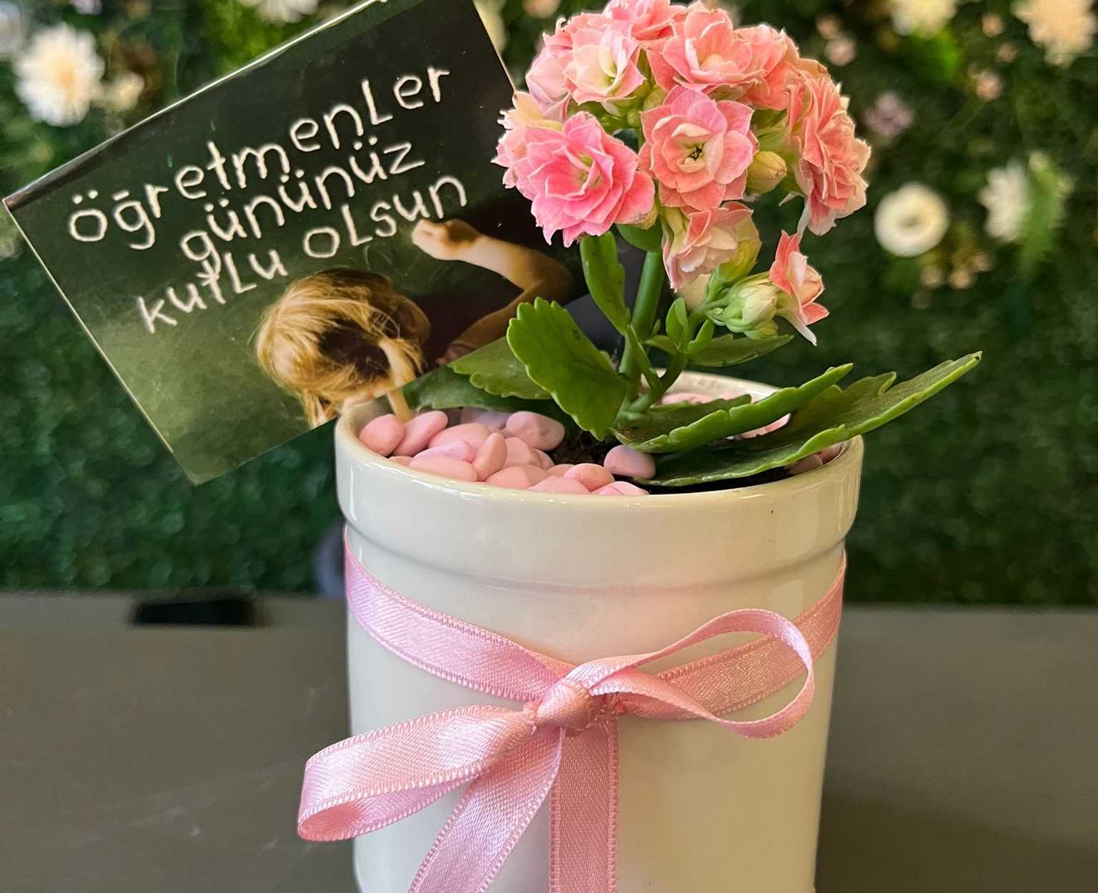 Porselen Saksıda Mini Kalanşo