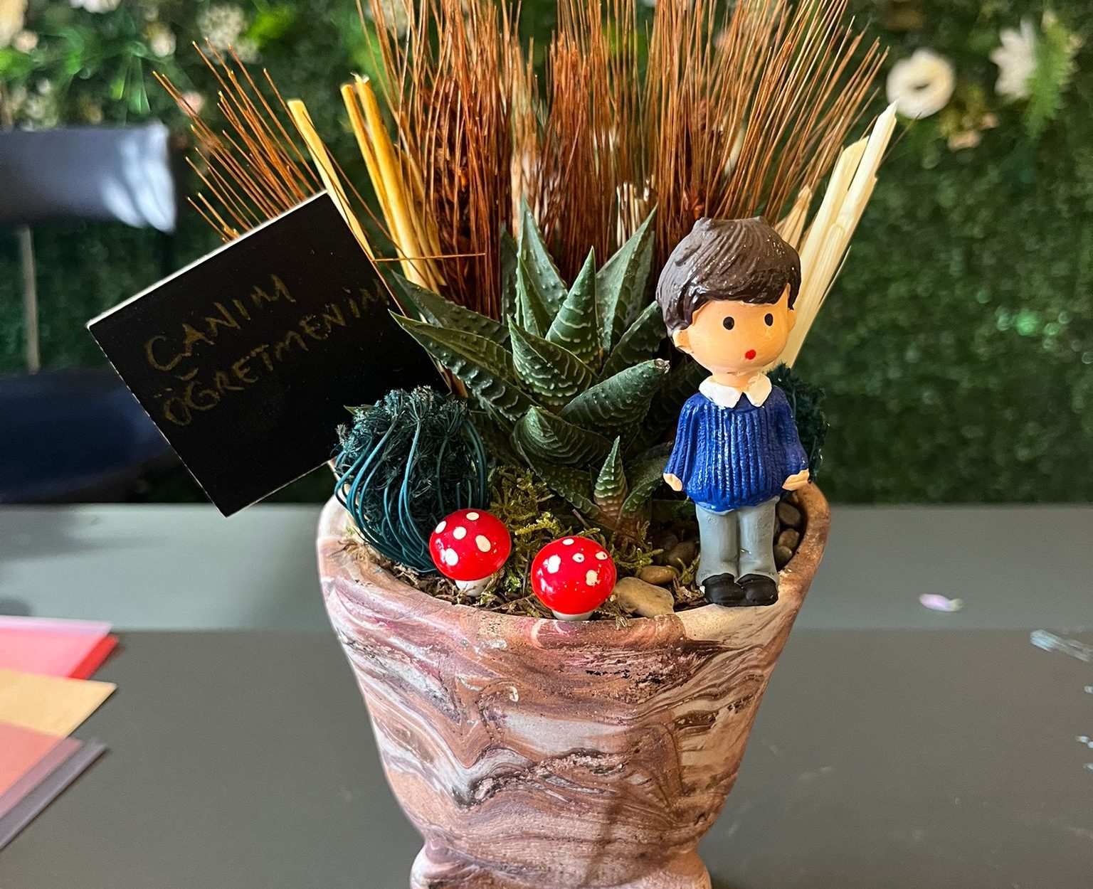 Küçük Boy Öğretmenler Günü Teraryum