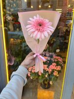 Tekli Pembe Gerbera