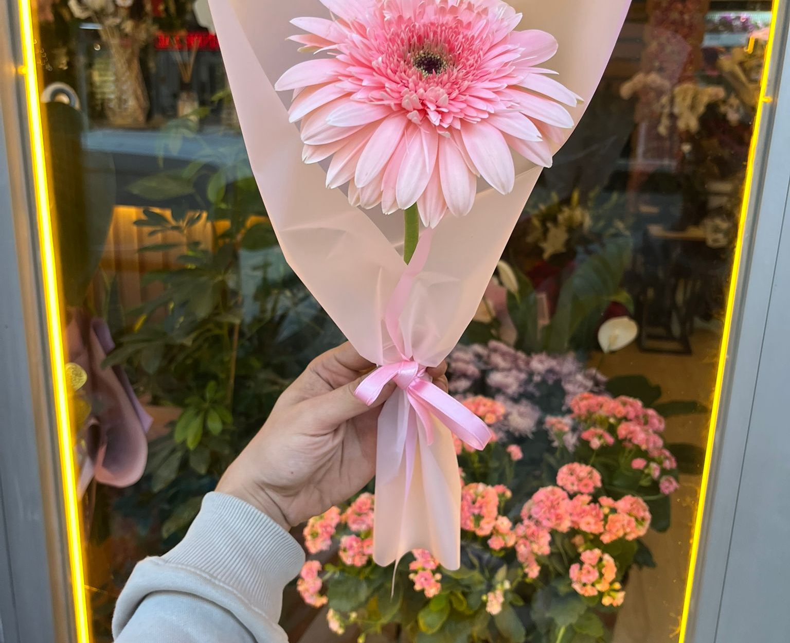Tekli Pembe Gerbera
