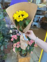 Kraft Sarım Tekli Ayçiçeği