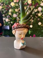 Helen Saksıda Mini Skulent