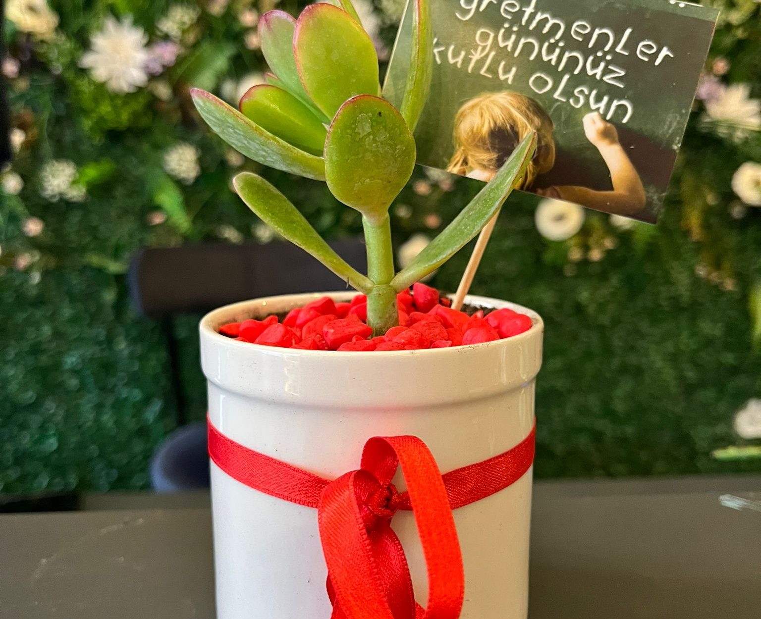 Porselen Saksıda Mini Skulent Aranjmanı