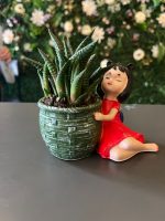 Mini Kız Saksıda Mini Skulent