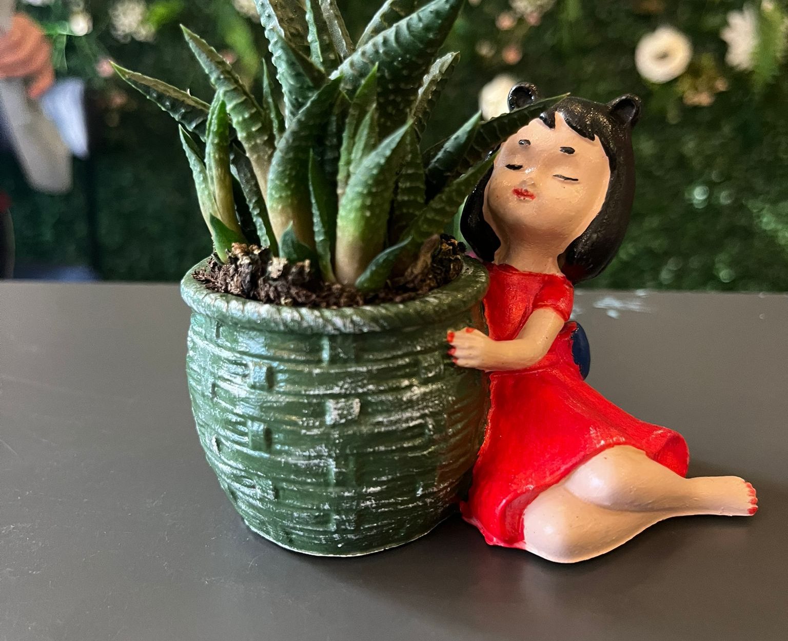 Mini Kız Saksıda Mini Skulent