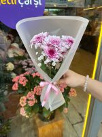 Tekli Pembe Kasımpatı