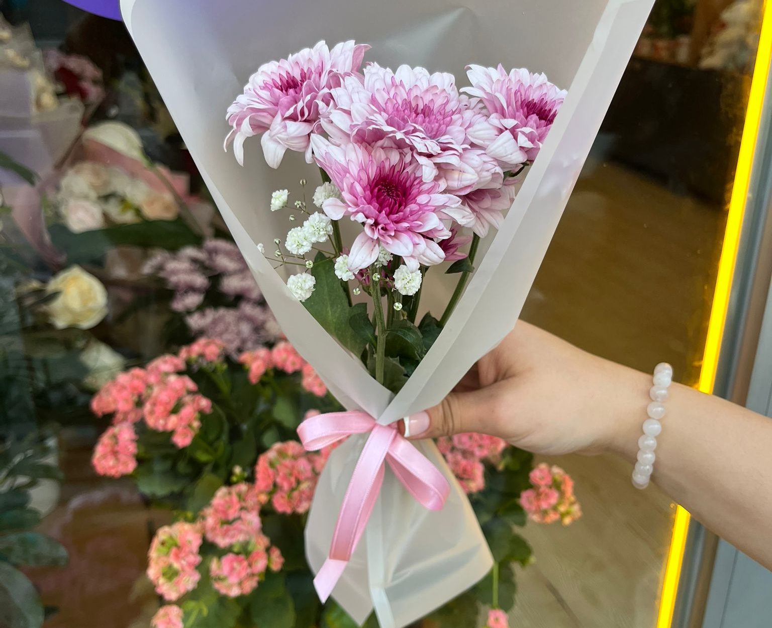 Tekli Pembe Kasımpatı