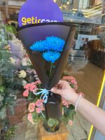 Tekli Mavi Kasımpatı