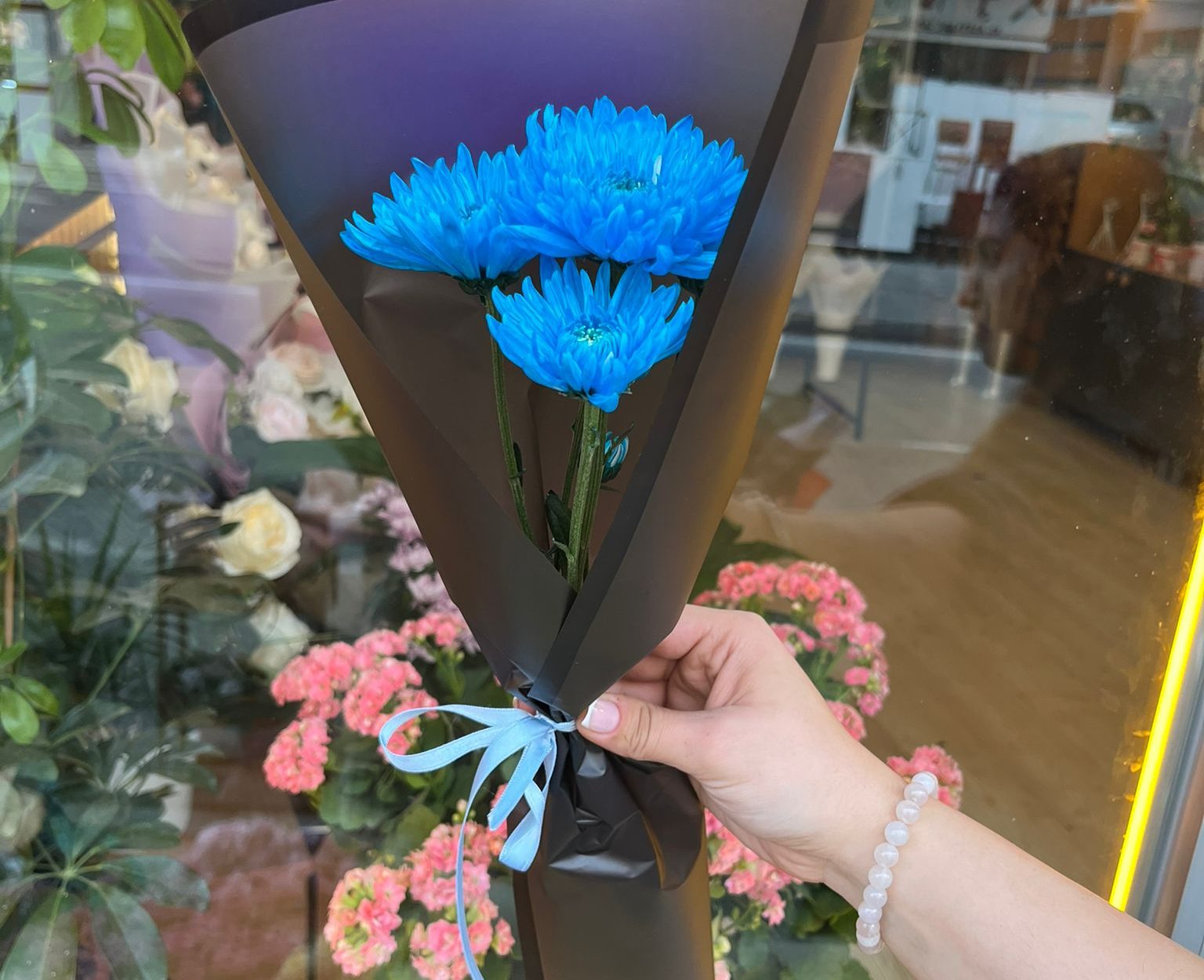 Tekli Mavi Kasımpatı