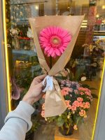 Tekli Koyu Pembe Gerbera