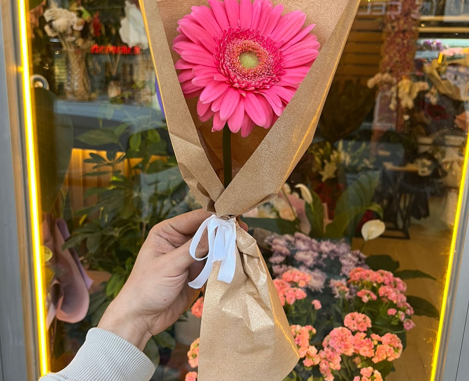 Tekli Koyu Pembe Gerbera