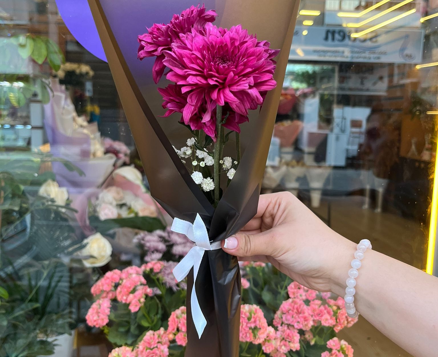 Tekli Mor Kasımpatı