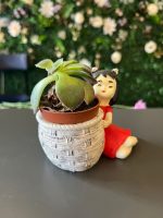 Mini Kız Saksıda Mini Skulent - Görsel 3