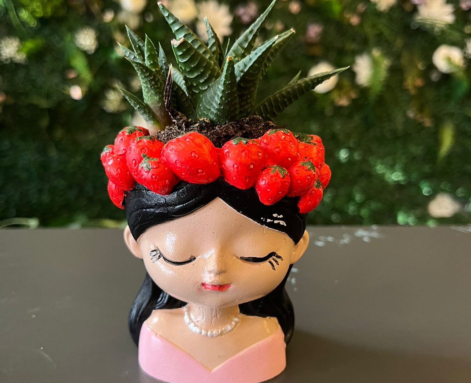 Çilek Taçlı Kız Saksıda Mini Skulent