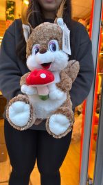 🐿️🍄 40 CM SEVİMLİ PELUŞ SİNCAP – MANTARLI TATLI TASARIM 🍄🐿️