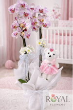 Çift Dallı Pembe Orkide & Ayıcıklı – Kız Bebek İçin Hoş Geldin Hediye🎀