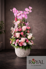6 Dal Orkide & Gül Aranjmanı | Ultra Premium Deluxe Tasarım 💎🌸