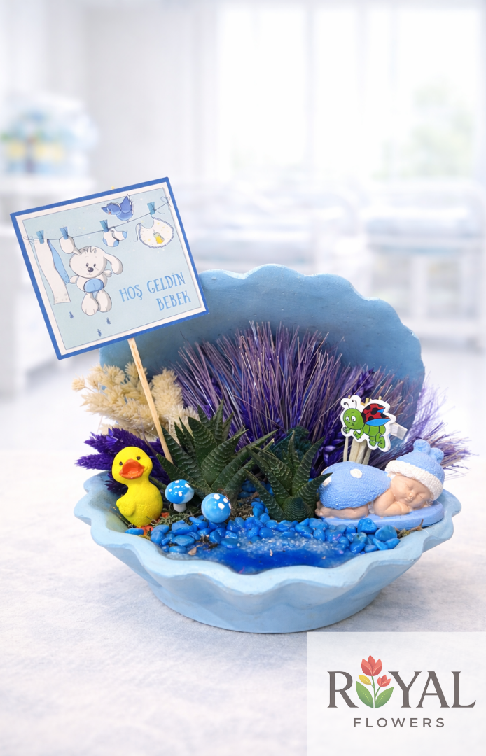 543543 Hoş Geldin Bebek Teraryum 💙 İstiridye Saksıda Erkek Bebek Teraryum| Özel Tasarım - Görsel 1