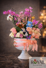 6 Dal Orkide, Ayıcıklı & İthal Gül Aranjmanı | Premium Deluxe Tasarım 🧸🌸