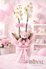 Çift Dallı Beyaz Orkide & Pembe Ayıcıklı – Kız Bebek İçin Hoş Geldin Hediye🎀